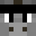 Image for Selfiemaster Minecraft Player