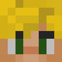 Image for Selies Minecraft Player