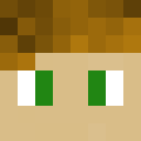 Image for Seppelgaming Minecraft Player