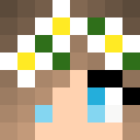 Image for Seranyy Minecraft Player