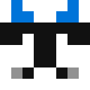 Image for SethPlayzGames Minecraft Player