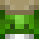 Image for Sharkolotl Minecraft Player