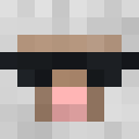 Image for SheepFarts Minecraft Player