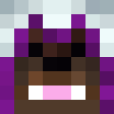 Image for Shewbacca Minecraft Player