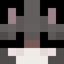 Image for ShibuyaKanon Minecraft Player