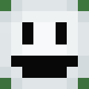 Image for Shilooh Minecraft Player