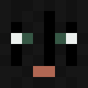 Image for Shotyak Minecraft Player