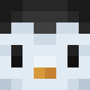 Image for Shuchi_ Minecraft Player