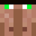 Image for Shxro_ Minecraft Player