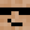 Image for Signs_ Minecraft Player