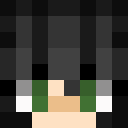 Image for SilverFoxGaming Minecraft Player