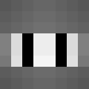 Image for SilverTurnip Minecraft Player