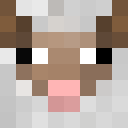 Image for Silver_ClxssicBR Minecraft Player