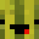 Image for Sj1121 Minecraft Player