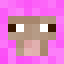 Image for Skeppp Minecraft Player