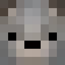 Image for Skiden Minecraft Player