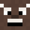 Image for Skiffie Minecraft Player