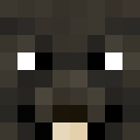 Image for Skrid Minecraft Player