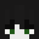 Image for Skunki Minecraft Player