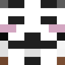 Image for Skyp Minecraft Player