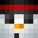 Image for SnowManZZ Minecraft Player