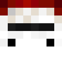 Image for SnowyRaven Minecraft Player