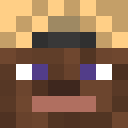 Image for SoFlyWie1Pinguin Minecraft Player