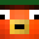 Image for Softwaring Minecraft Player