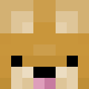 Image for Sonokido Minecraft Player