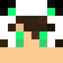 Image for SoySteve Minecraft Player