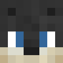 Image for Spectro Minecraft Player