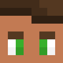 Image for Speedo Minecraft Player