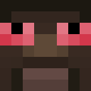 Image for Spider____ Minecraft Player