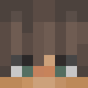 Image for Spileers Minecraft Player