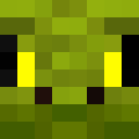 Image for Splizzard Minecraft Player