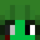 Image for Spring_Plays Minecraft Player