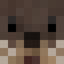 Image for Spunch Minecraft Player