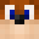 Image for Sqrew Minecraft Player