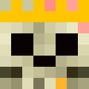 Image for SquidiG Minecraft Player