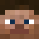 Image for Steeeeveeeeeeeee Minecraft Player