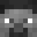 Image for Steldro Minecraft Player