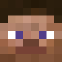 Image for Steve1238 Minecraft Player