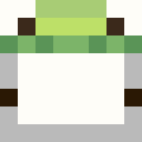 Image for Stoleyourfrog Minecraft Player