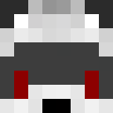 Image for StonedRacoon Minecraft Player