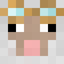 Image for Straut Minecraft Player