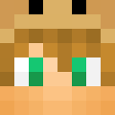 Image for Suesser Minecraft Player