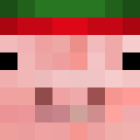 Image for Summxrs Minecraft Player