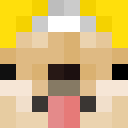 Image for Super_Shiba Minecraft Player