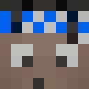 Image for Swaan Minecraft Player