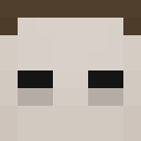 Image for SwiftyN Minecraft Player